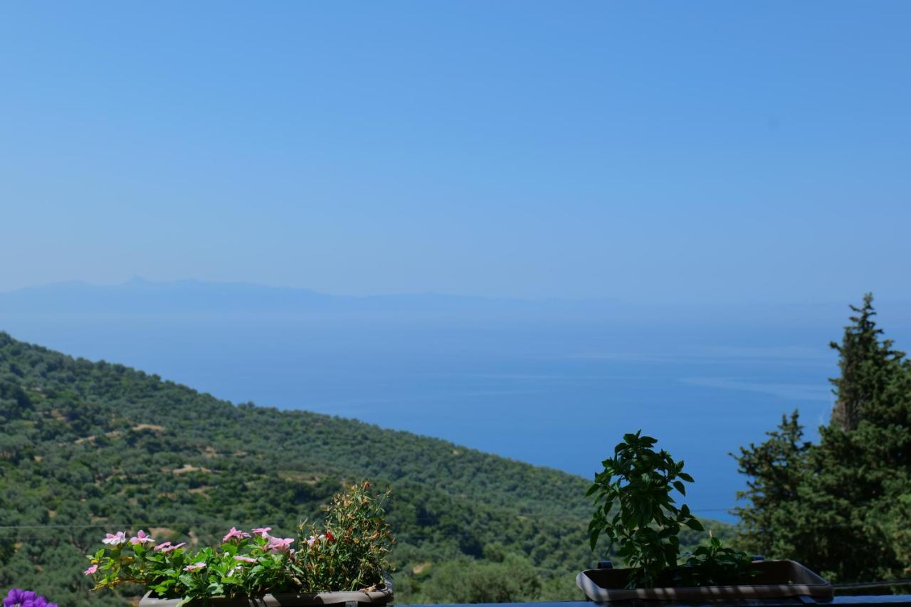 Vila Panorama Piqeras Bed & Breakfast Ngoại thất bức ảnh